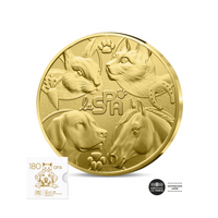 SPA - Monnaie de 250€ Or - BU 2025