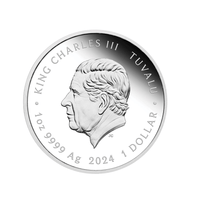 Tortue Ninja - Michelangelo - Monnaie de 1$ Argent - 2024