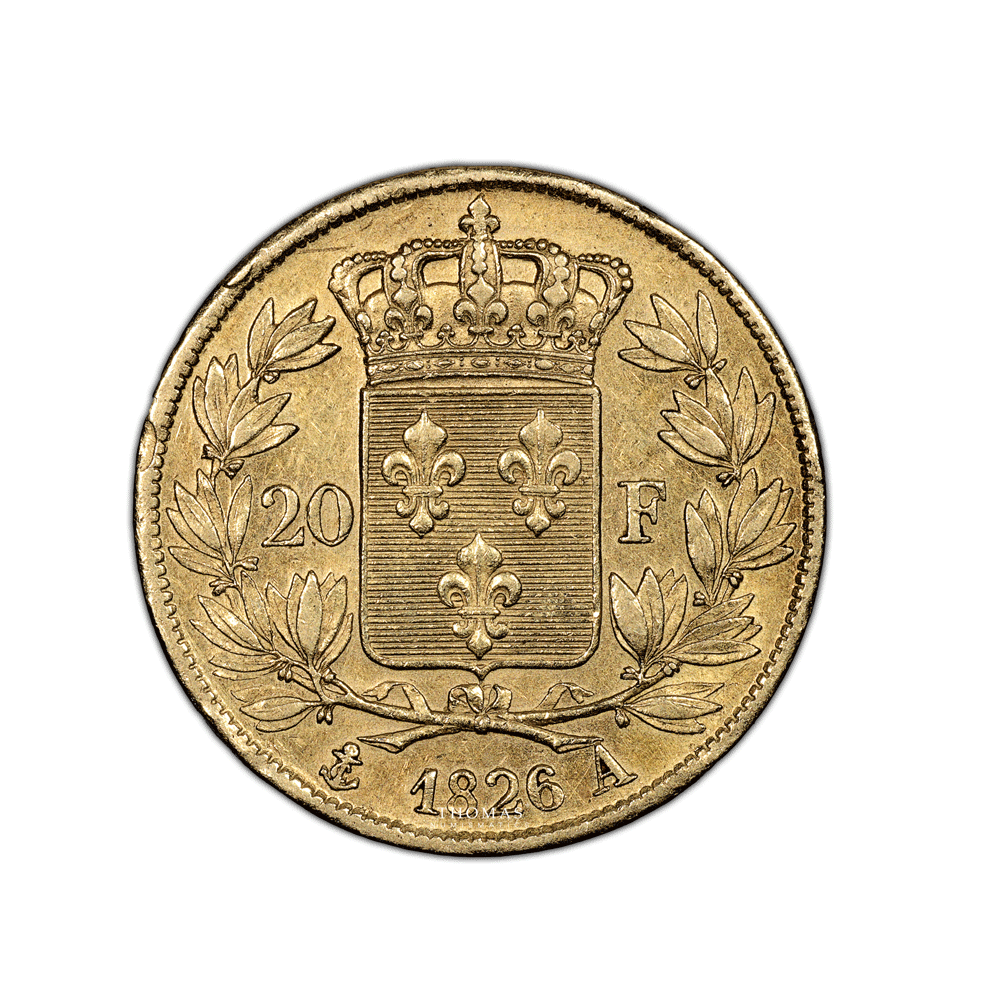 20 Francs - Charles X - 1824-1830