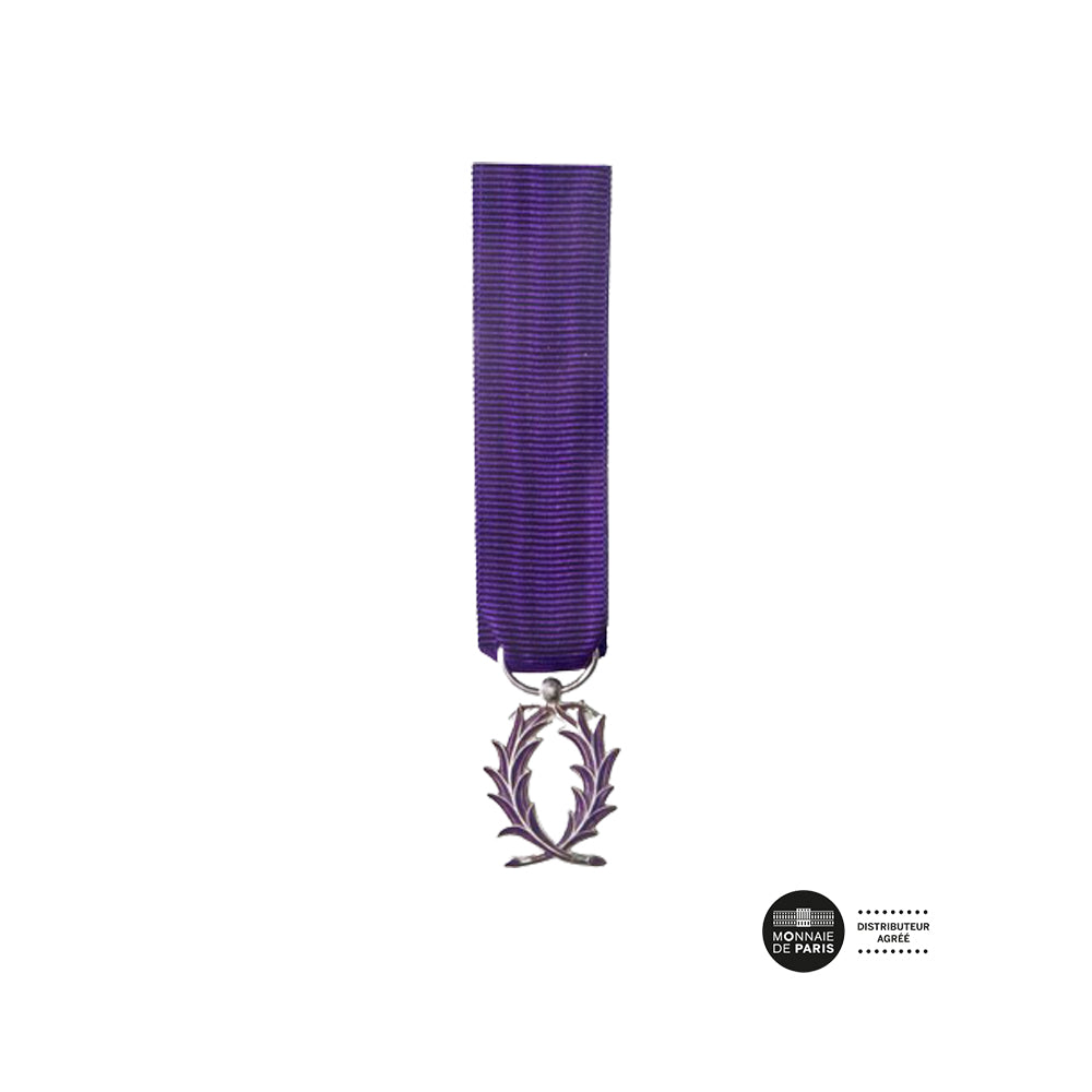 Palmes Académique - Chevalier