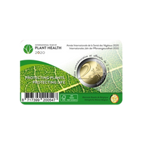 coincard plante 2 euro