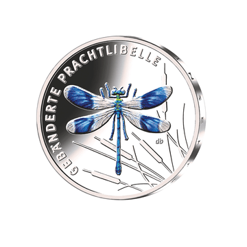 Germany 2023 - 5 Euro commemorative - splendid Caoptéryx