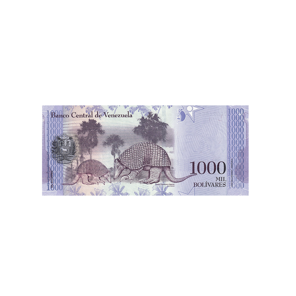 Bolívia - 1000 Bolivares Ticket - 2017