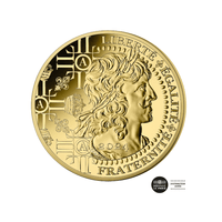Le Louis d'Or - Monnaie de 250€ Or - 2024