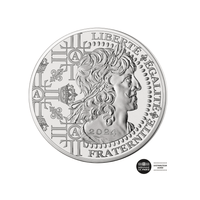Le Louis d'Or - Monnaie de 100€ Argent - 2024