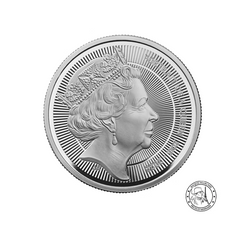 Elisabeth II - Monnaie de 100 pounds Platine - BE 2026