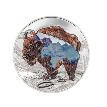 Into the Wild - Bison - Monnaie de 1000 Togrog Argent - BE 2023