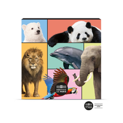 Les animaux du monde - coffret de rangement - 2026