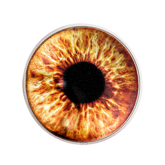 ColorEYEzed - hazel brown - Monnaie de 5 Dollars 1 Oz Argent - BE 2023