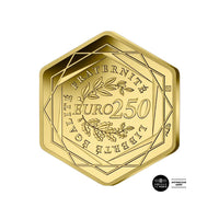 Paris Olympic Games 2024 - 250 € Gold - Hexagonal