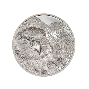 Mongólia selvagem - Falcon mongol - 500 ToGrog Silver 1 oz Moeda - seja 2023