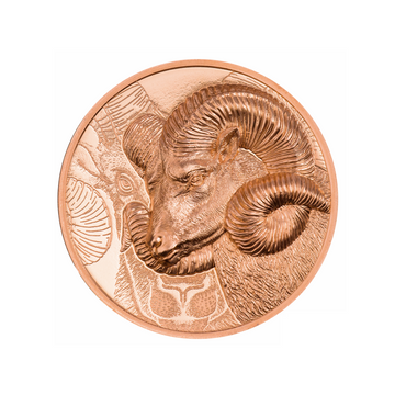 Wild Mongolia - Argali magnificent - Caver Copper 250 currency - BE 2022