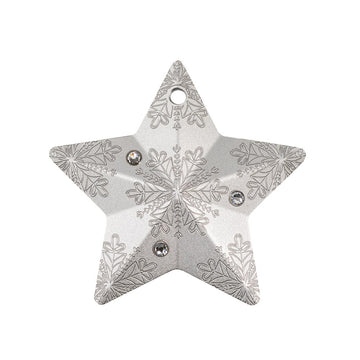 Holiday Ornament - Snowflake Star Silver - 5 Dollar Valuta - Be 2023