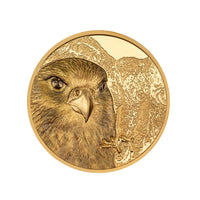 Mongólia selvagem - Falcon mongol - moeda de 25.000 togrog ou 1 oz - seja 2023