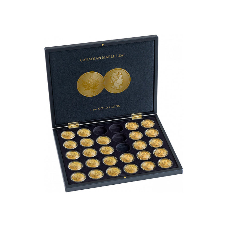 Caixa Volterra para moedas de ouro "Maple Leaf Gold"